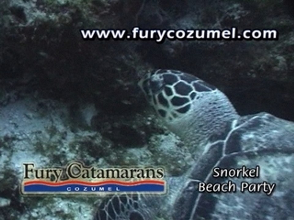 Fury Catamarans Cozumel Tours Snorkel Beach Party
