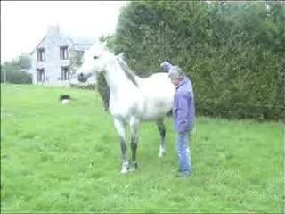 Methode pat parelli