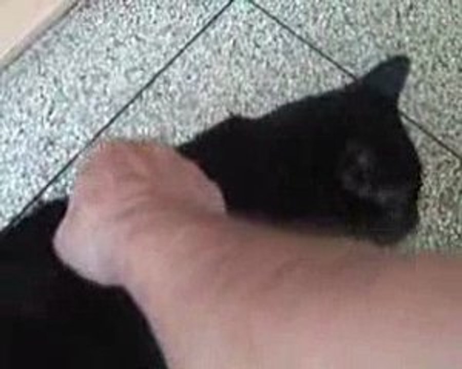 CLIP0039