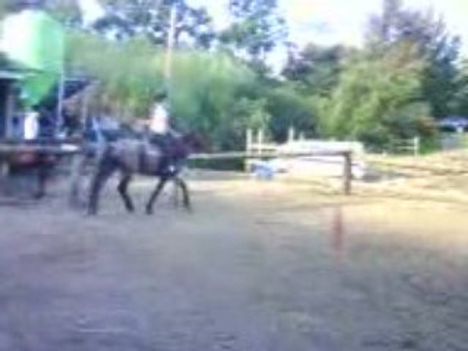 Saut d'obstacle
