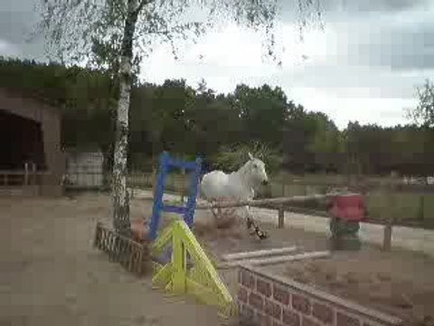loulou saut en liberté
