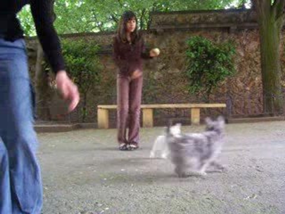 Ma meilleure amie & Moi en 6e