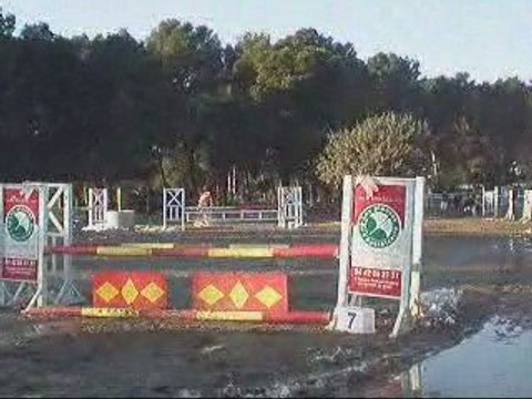 ConCours du 11 Janvier _ Biing _ Club Hippique de Castillon