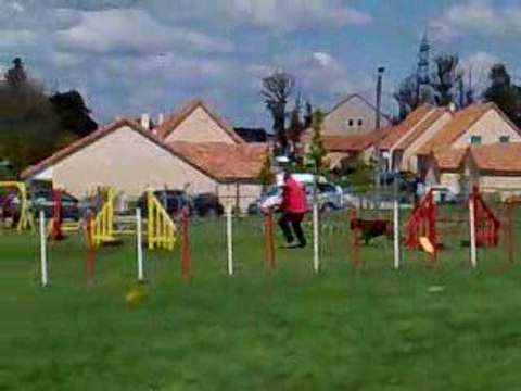 championnat regional agility 2009