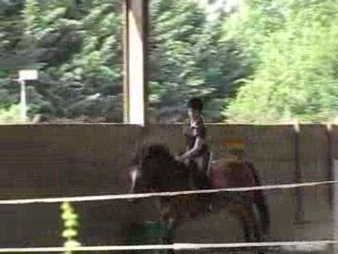 Mise en selle obstacle