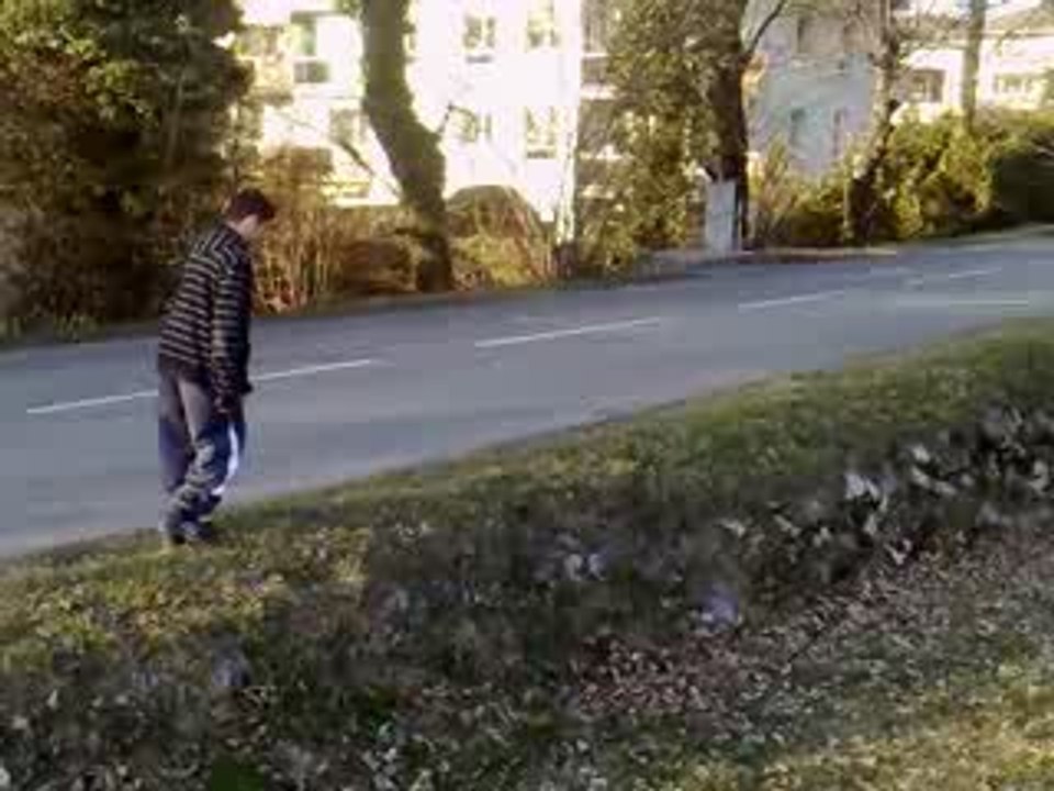 Salto  samy