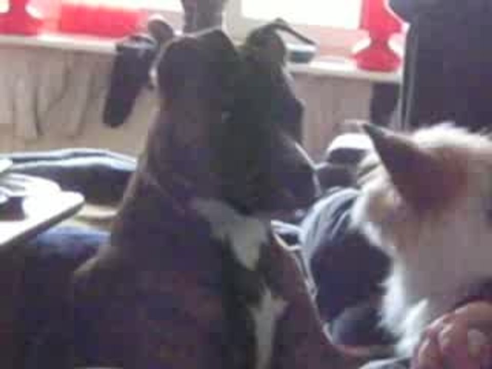thisney.blogg.se