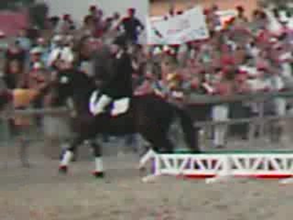 Remise prix 2006