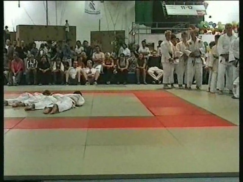 Judospass