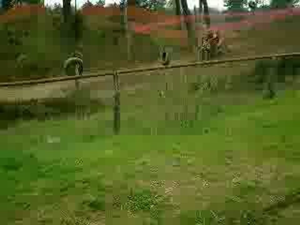 trainning la flèche dans la boue