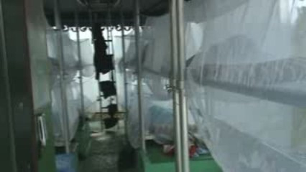 au petit matin sur le marais de kaw