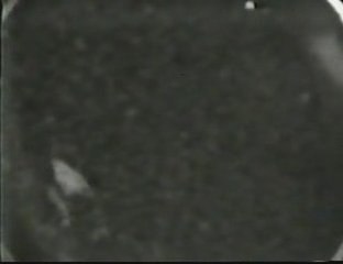 NASA cameras & UFO's in space