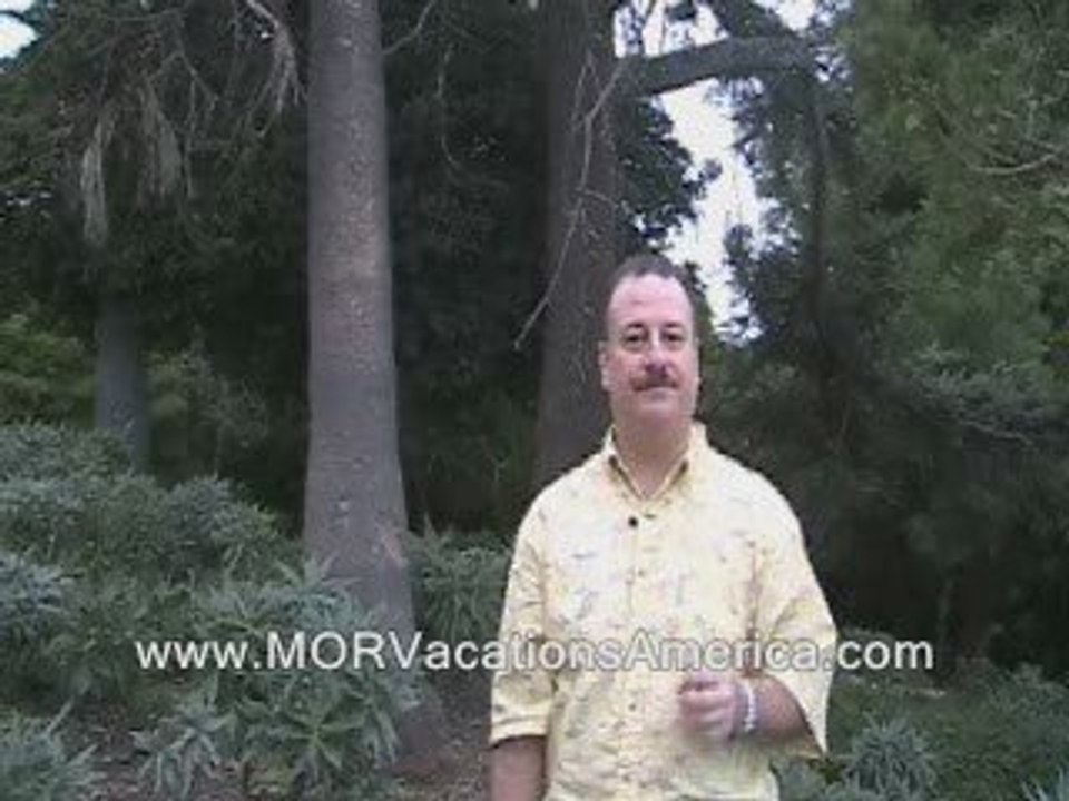 Coastal Vacations DFI Can Make You Poor Fast {Coastal DFI...