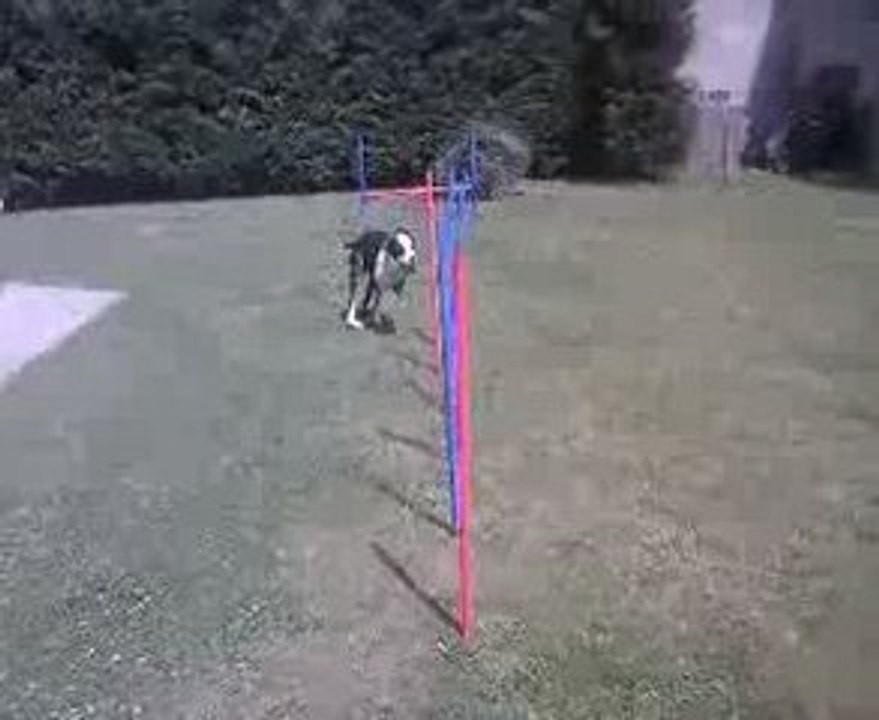 Rock Agility