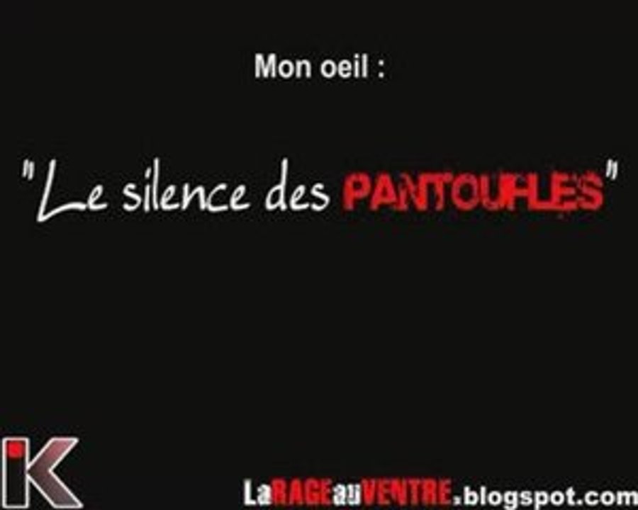 Mon oeil : "le silence des pantoufles"