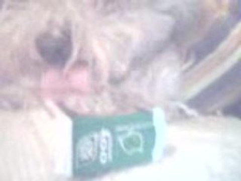 Rend moi mes tic tac !!!