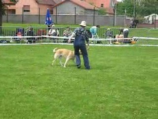 Obérythmée  Seltz mai 2009