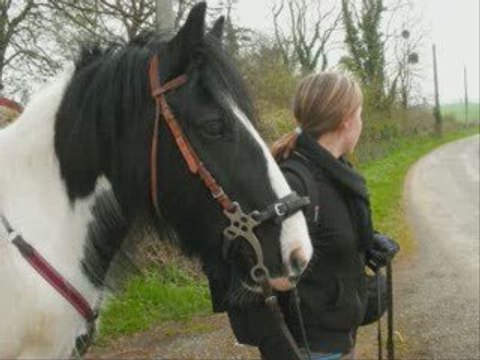 ma jument et moi 3 ans déjà