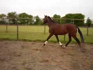 toupain rond de longe