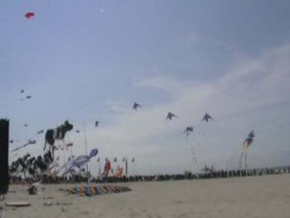 Cerf volant Berck 2009