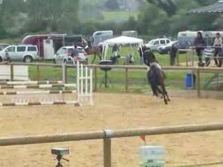 Ouragan de Tronçais