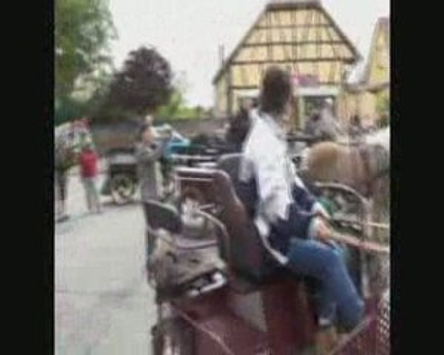 Sortie attelage Colmar