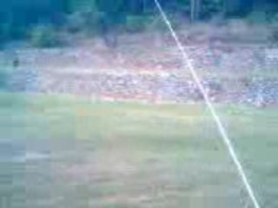 Buggy