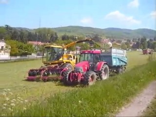 ensilage 2009 (2)