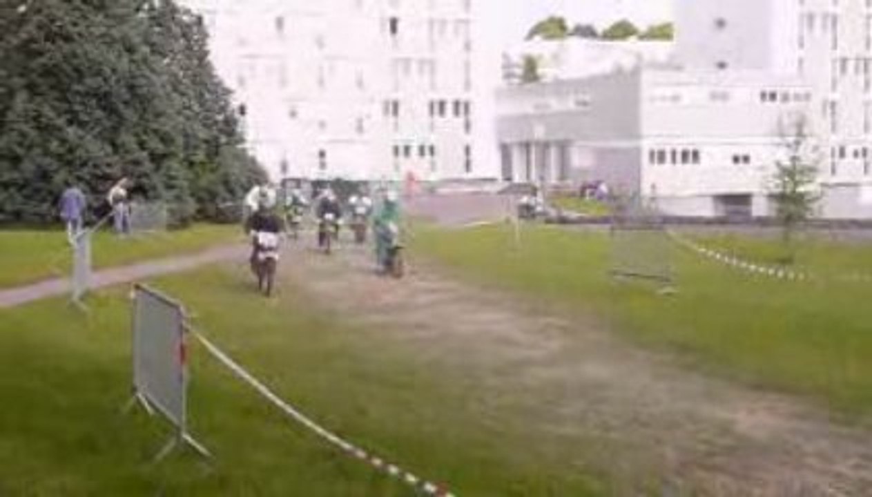Rock'n Solex 2009 (2)