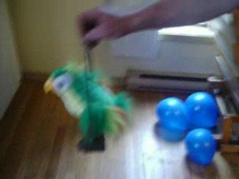 Moi qui rit avec un peroquet qui mimite 2 fois dafille XD