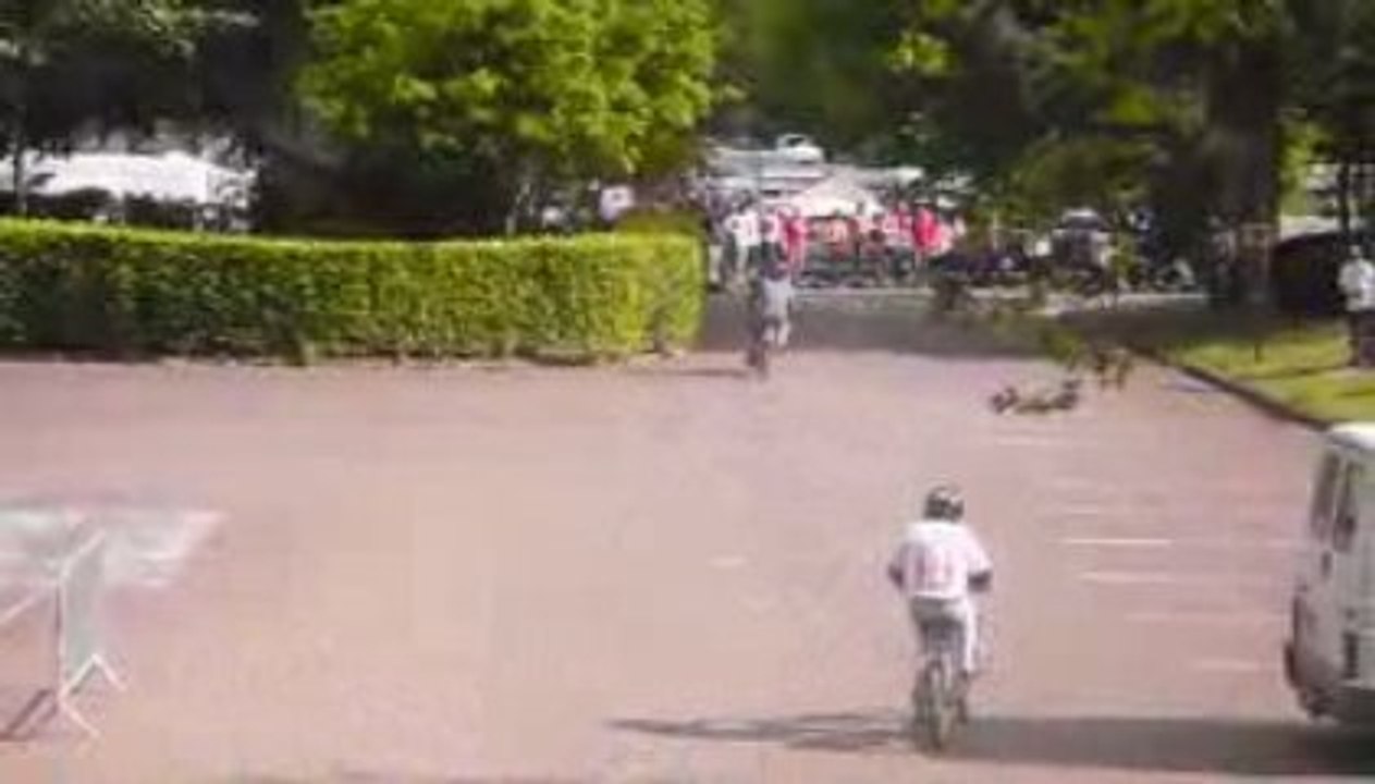 Rock'n Solex 2009 (5)