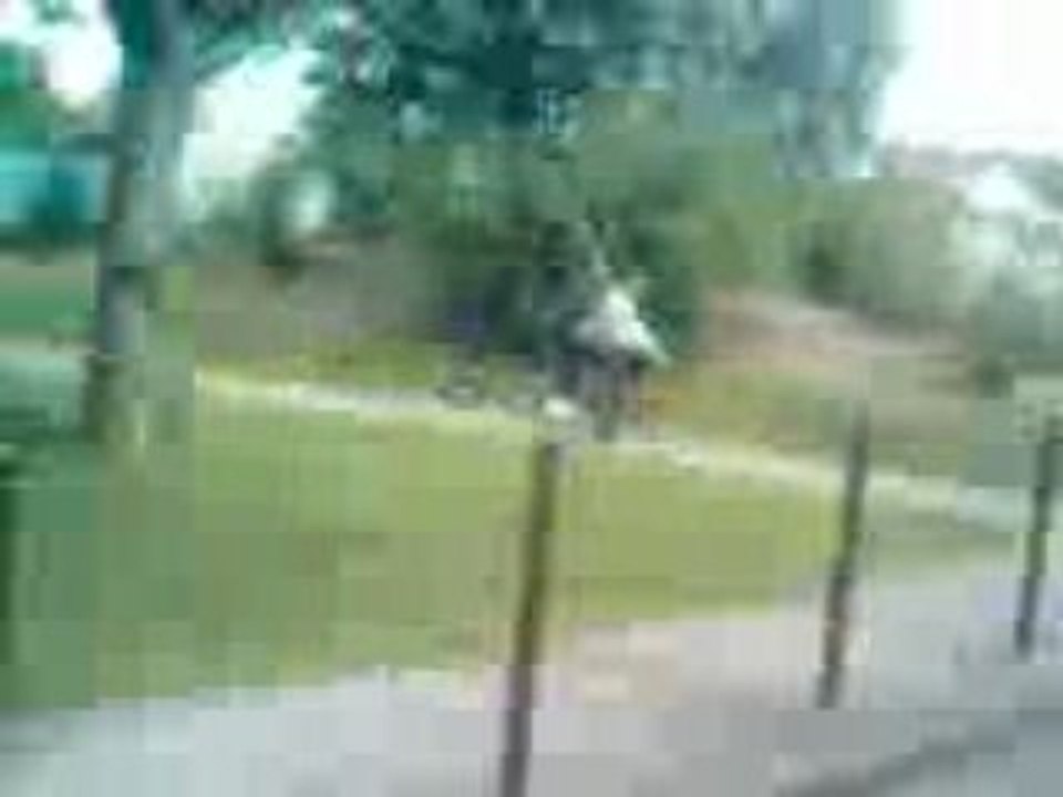 Vidéo004