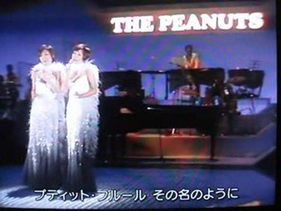 可愛い花