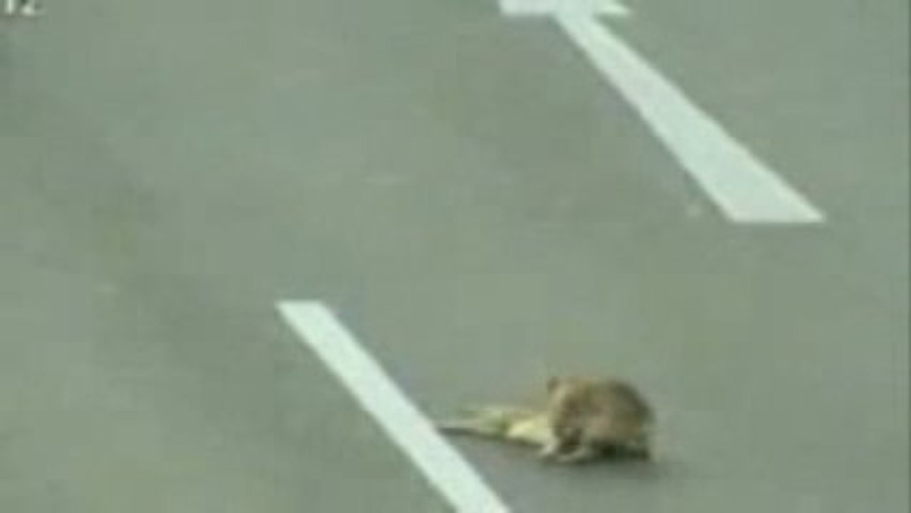 Solidarité et indifférence