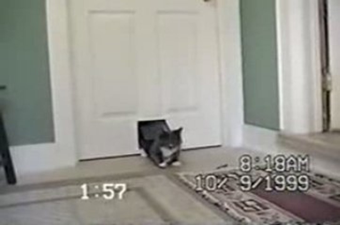 L'invité surprise