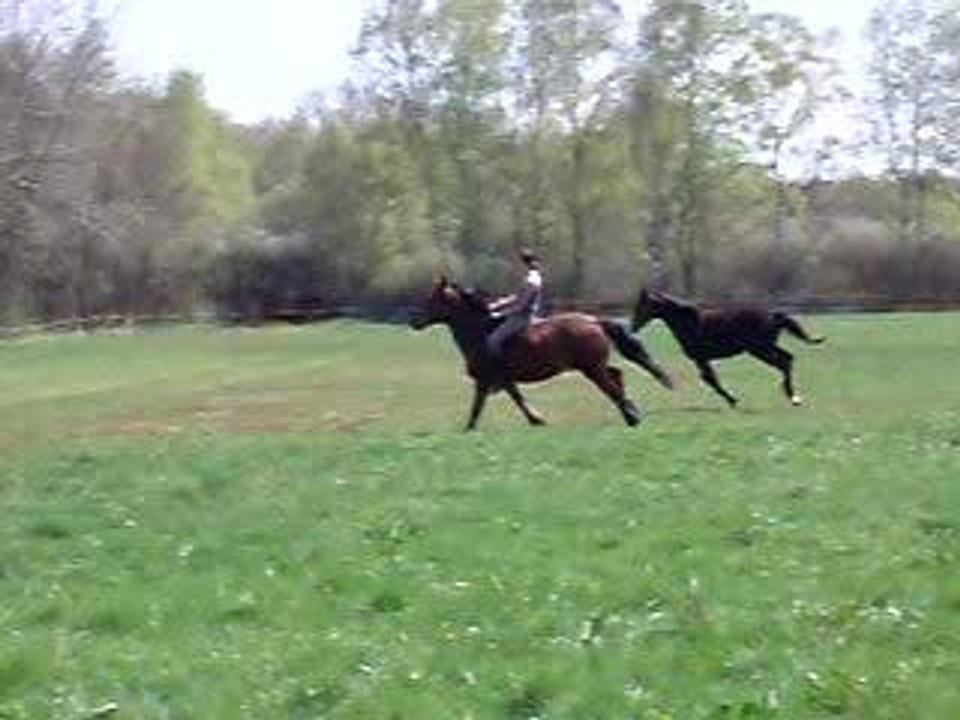 une petite course?