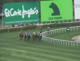 2009 (101) Premio TEBAS (MINISTRO -GB-)