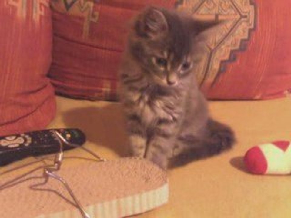 Missy captivée par mes clins d'oeil - trop mignon