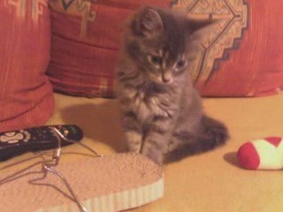 Missy captivée par mes clins d'oeil - trop mignon