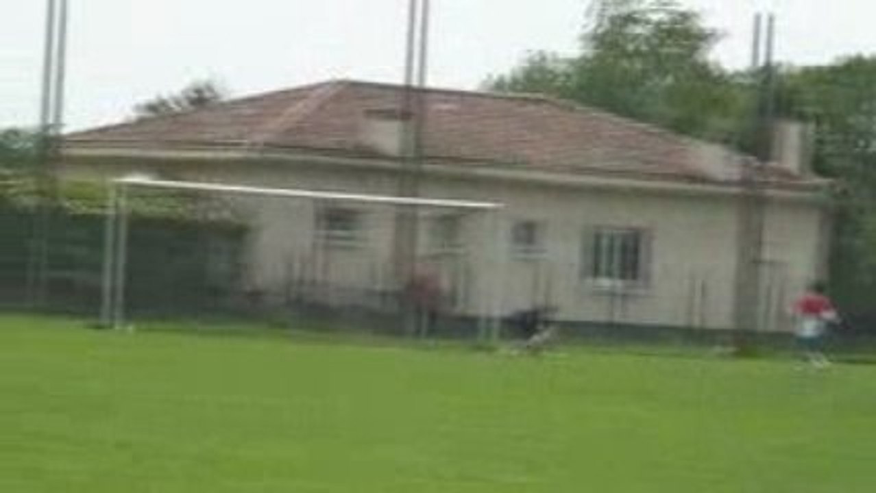 Salim