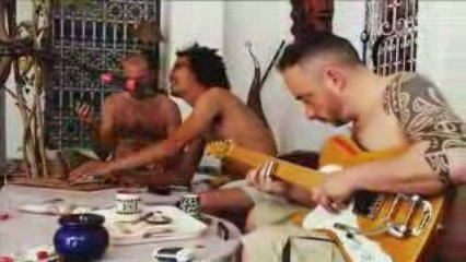 Singe savant  " Harragas"