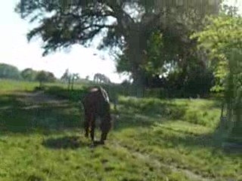 Quiator pré mai 2009 (2)