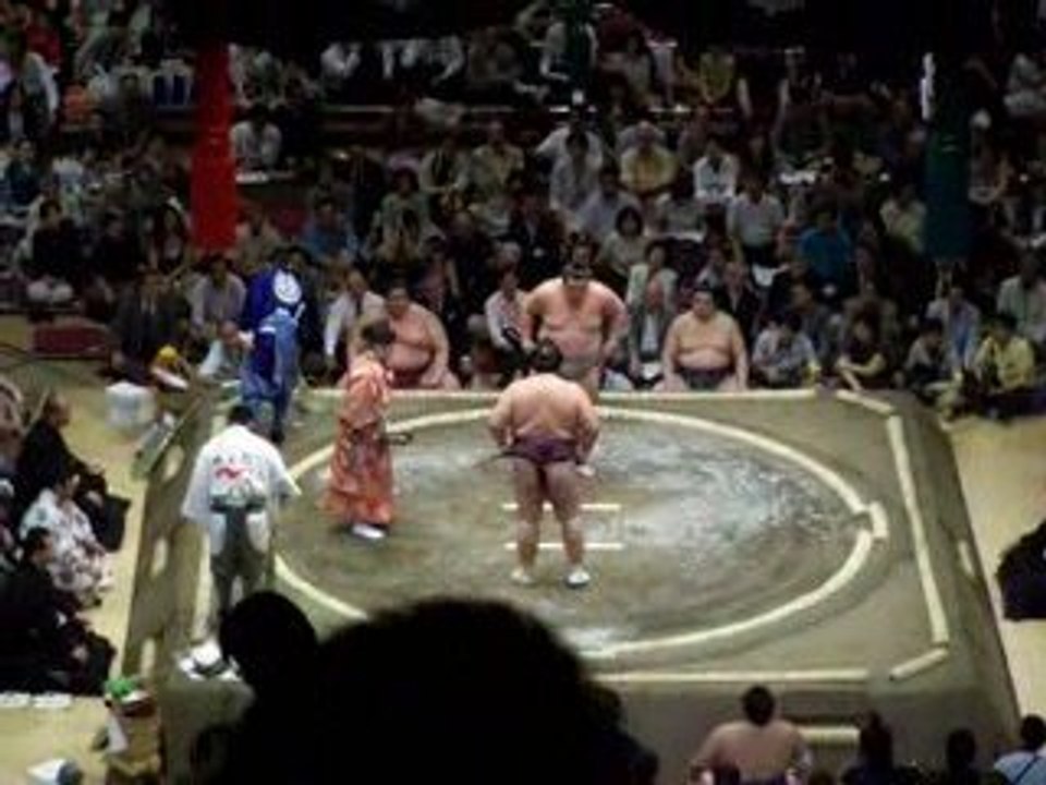 Sumo (4)