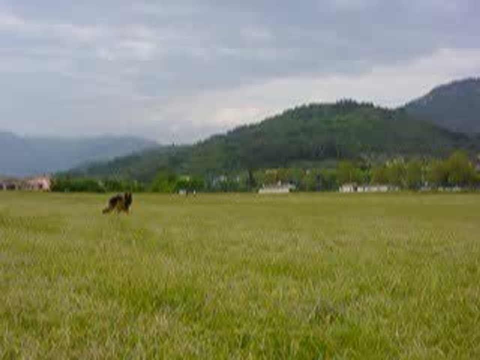 2009.05.08  levens 025