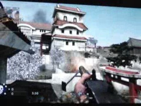 Bugs call of duty Word at War castel part 4