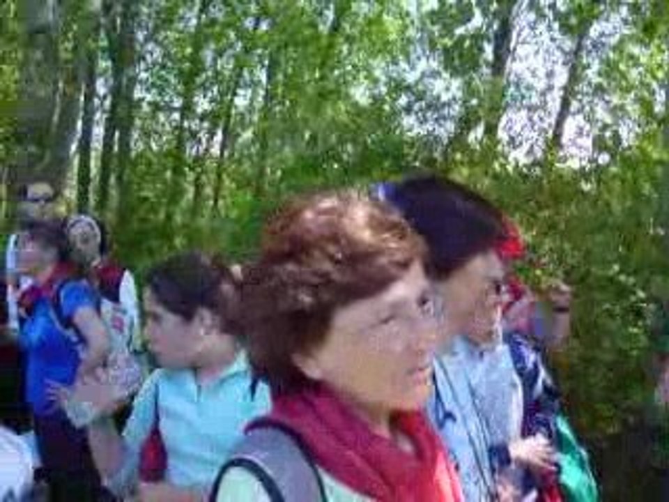 MOV00843