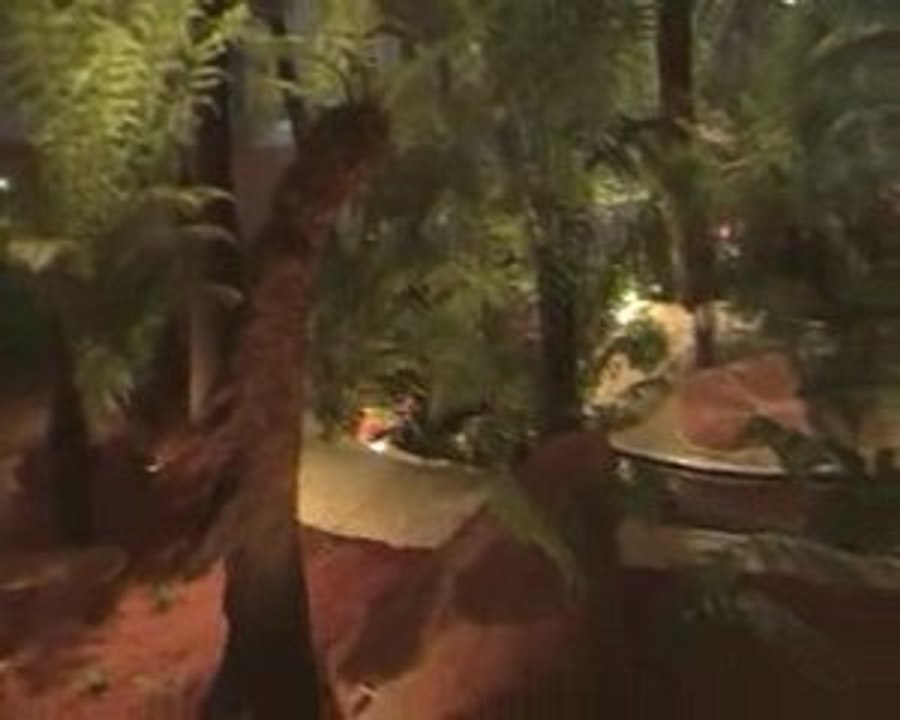 Floralies fougères géantes Ripaud