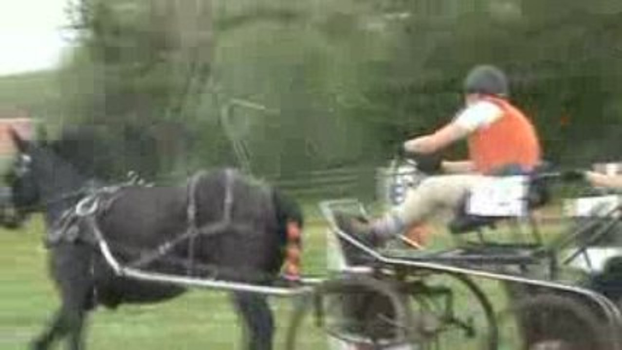 Concour d'attelage 3 mai 2009