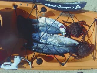 Sortie chasse sous marine du 8 mai