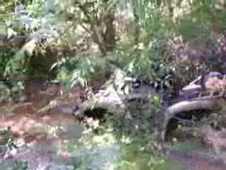 passage de ruisseau (partie 1)